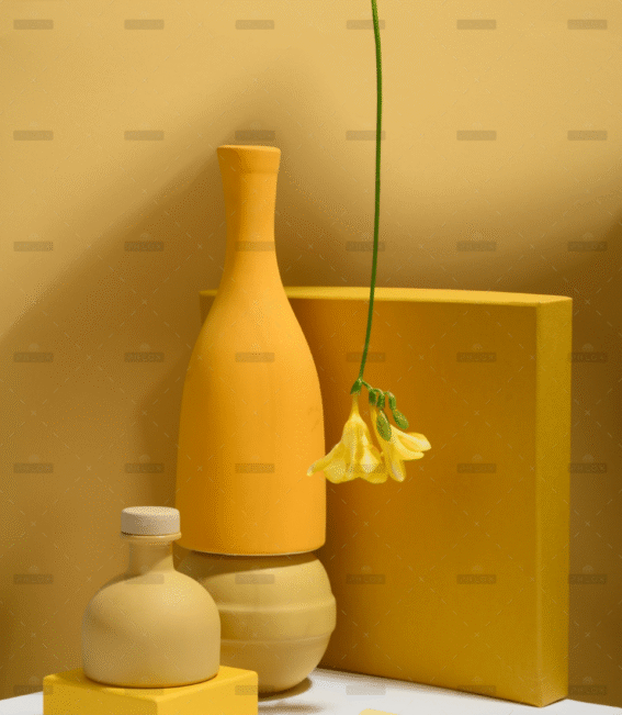 demo-attachment-2944-pexels-daria-liudnaya-7354715